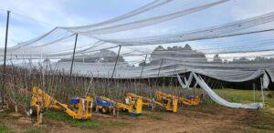 Netting system installation